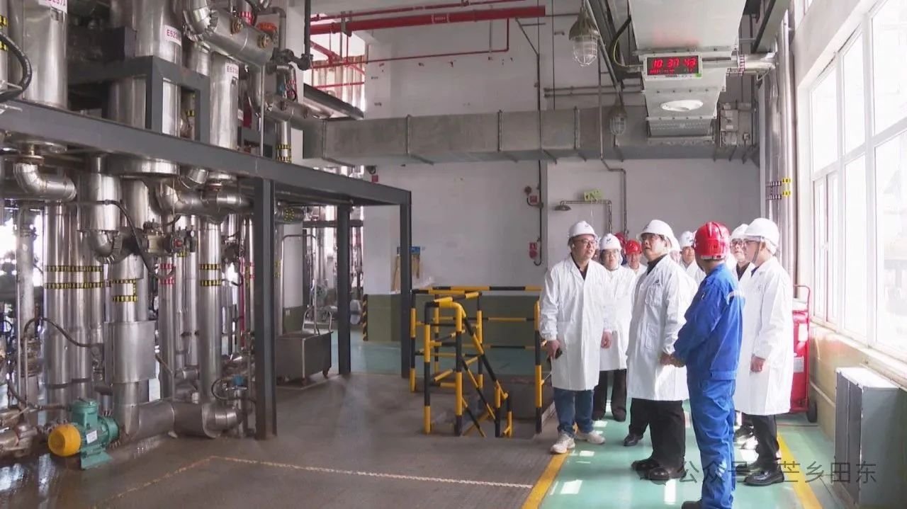 广西田东县委书记欧阳可爽一行来公司考察洽谈