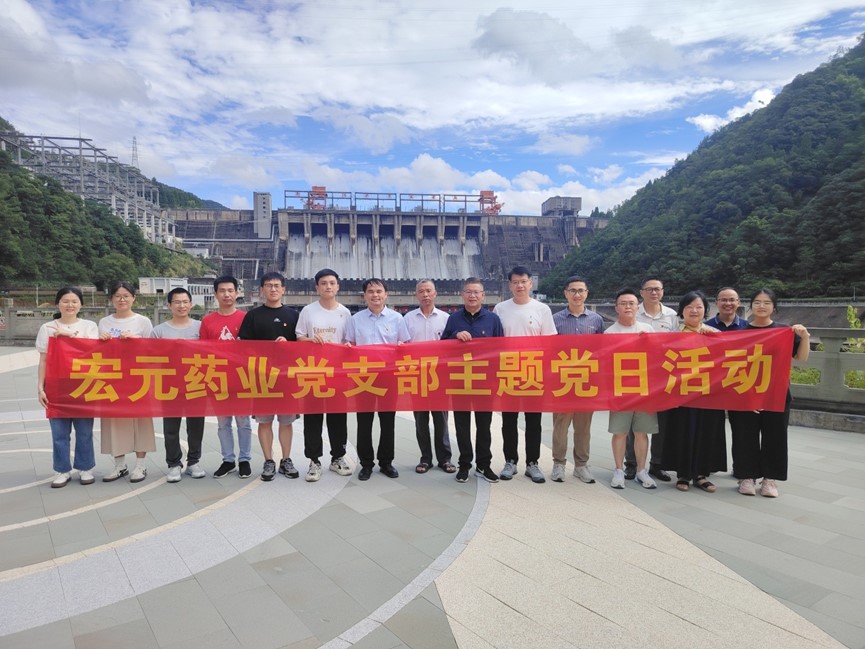 宏元药业党支部赴新安江水电站开展主题党日活动
